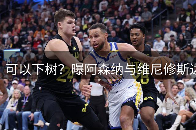 可以下树？曝阿森纳与维尼修斯达个人协议 将向皇马提报价