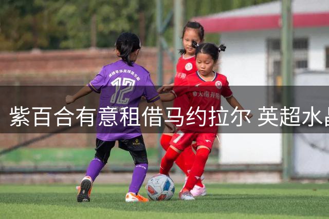 紫百合有意租借马约拉尔 英超水晶宫半路杀出