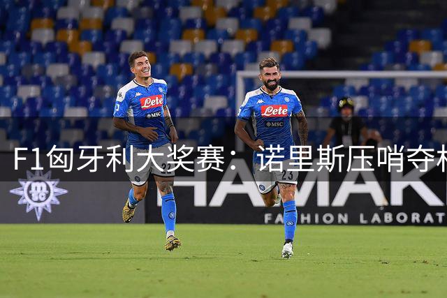 F1匈牙利大奖赛：诺里斯压哨夺杆